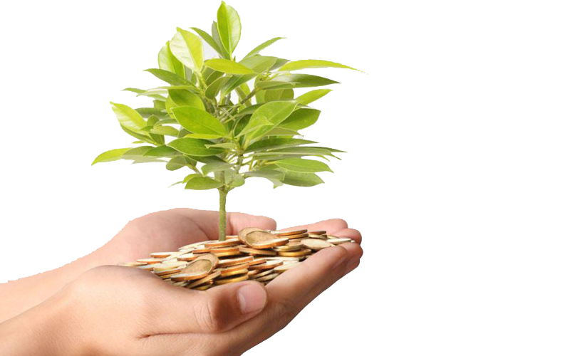 SIVA SHAKTHI CHIT FUND